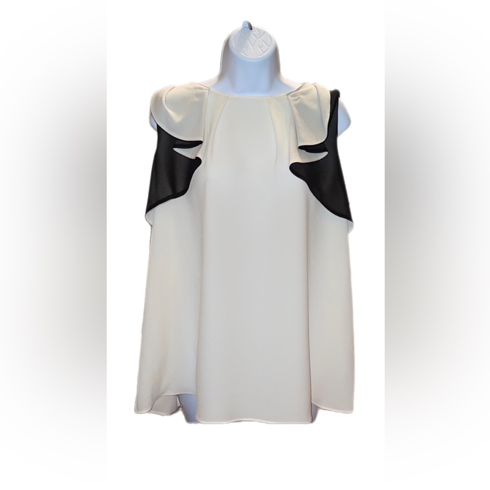 Ellen Tracy dressy blouse w/o tag. cream or white